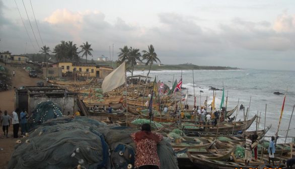 coast with boats